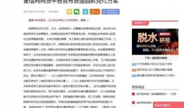 金信网最新爆料,揭秘行业黑幕，投资者权益如何保障？