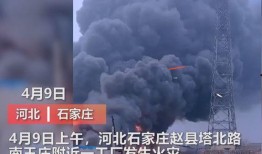 赵县爆料最新事件视频,视频揭秘惊人真相！