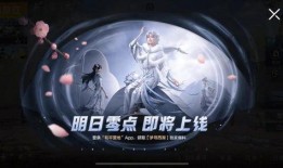 cs2新皮肤最新爆料视频,揭秘爆料视频中的神秘元素