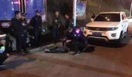 鹤壁汽车爆料事件视频最新,视频揭露惊人内幕，真相令人震惊！