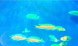 徐州海底爆料事件最新,揭秘背后真相与网络舆论风暴