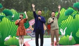 合阳小三爆料事件视频最新,真相与争议交织的婚姻漩涡