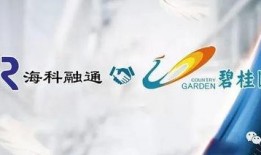 海科融通最新爆料,揭秘行业变革背后的创新力量