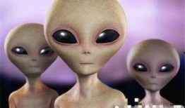 最新爆料外星人,外星生命迹象引发全球关注