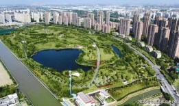 项城天鹅湖最新消息爆料,冬日美景与生态保护齐飞