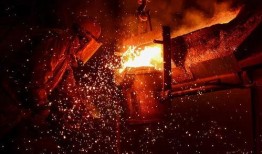 项城天鹅湖最新消息爆料,冬日美景与生态保护齐飞
