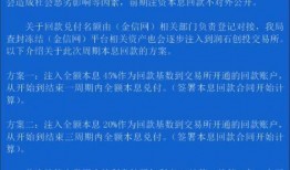 金信网最新爆料,揭秘行业黑幕，投资者权益如何保障？